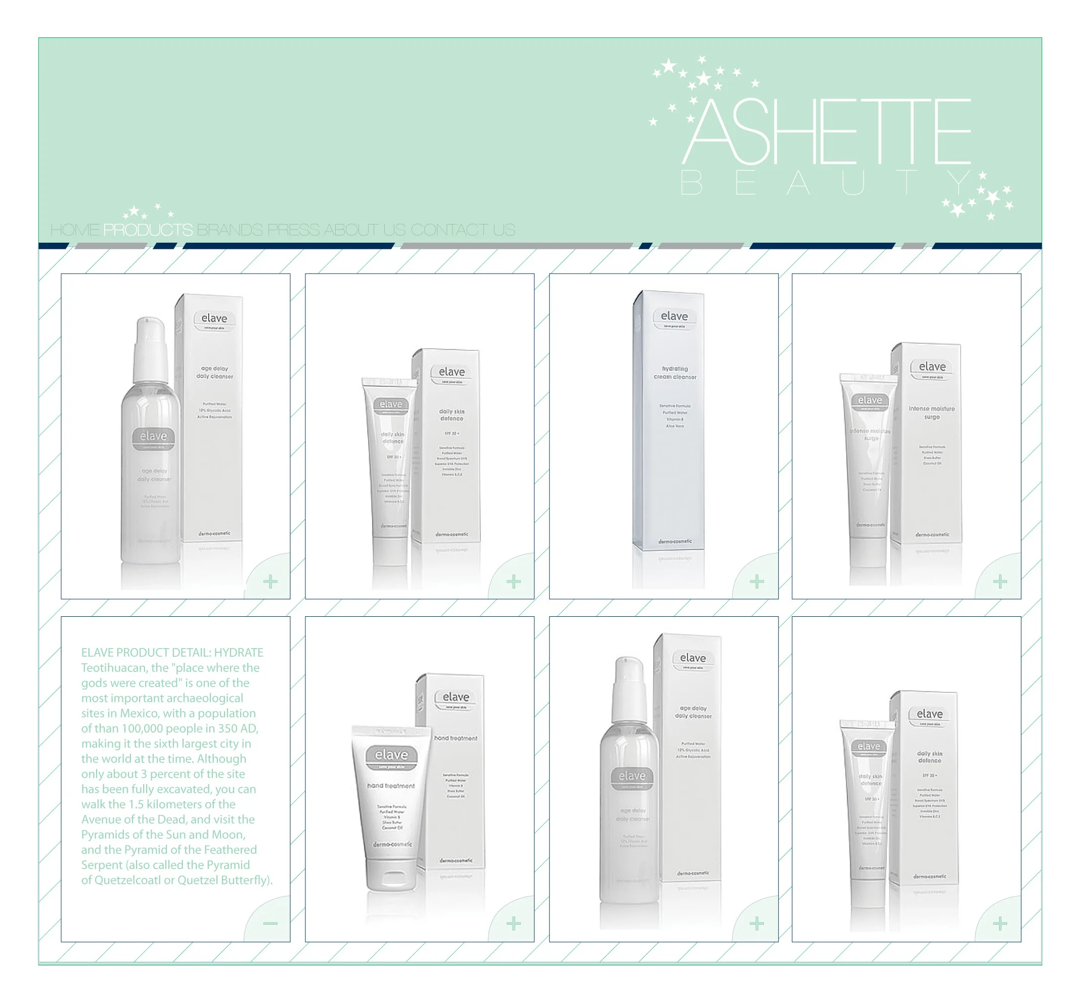 ashette update 2.jpg