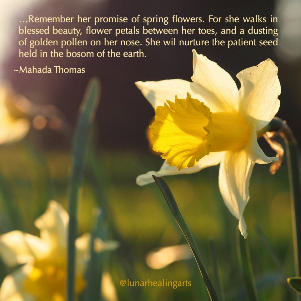 As the wheel of the year turns, it has been a welcome sight to see the snowdrops, daffodils, and crocuses bravely appearing in the cold and grey.

In honour of Imbolc and the turning of the year, this extract beautifully describes the Goddess Bridget