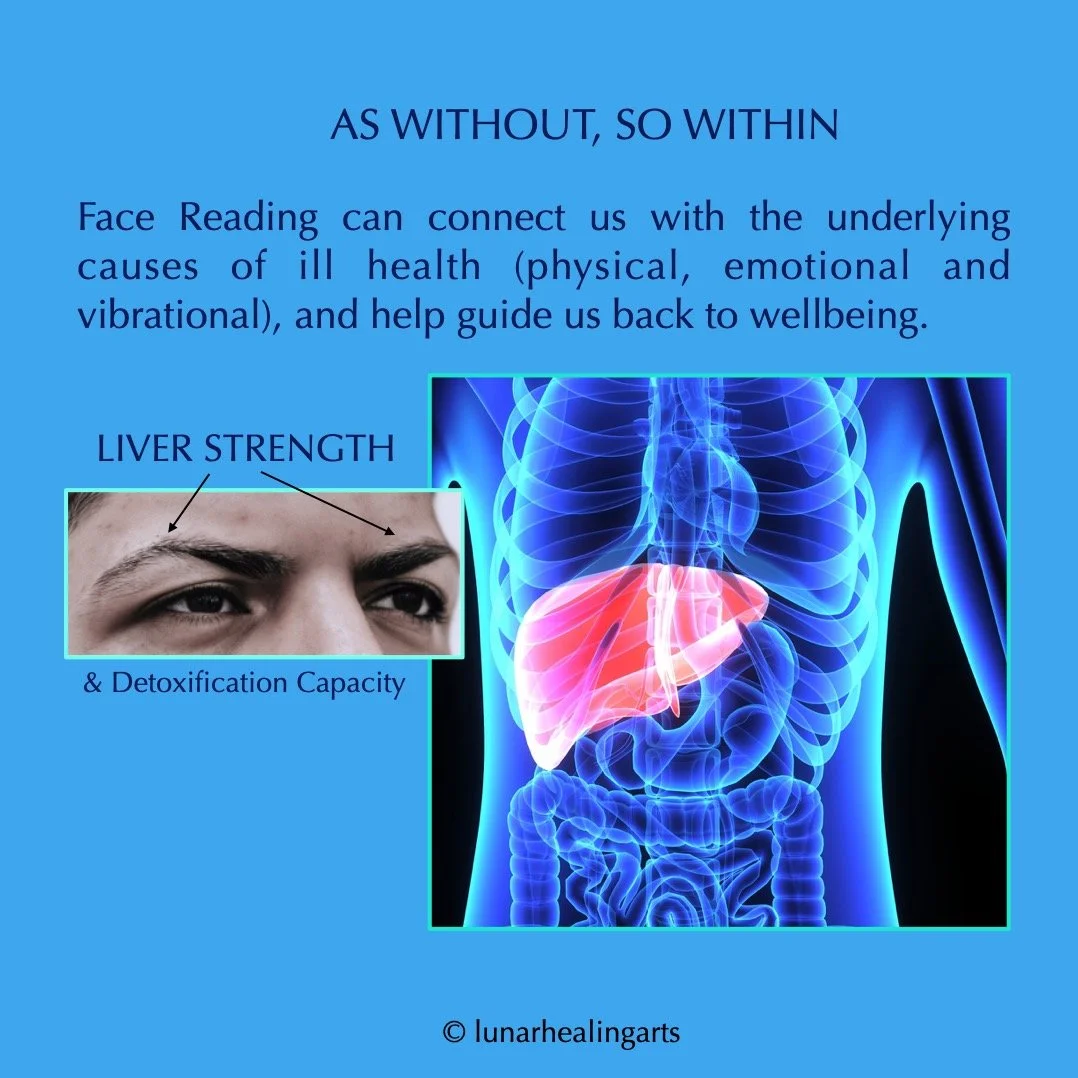 One of the fascinating aspects of the facial map is that every feature of the face also reflects a particular organ system in the body. 

Changes in the structure of the feature, or changes in colouration, plus lines and markings all give valuable in