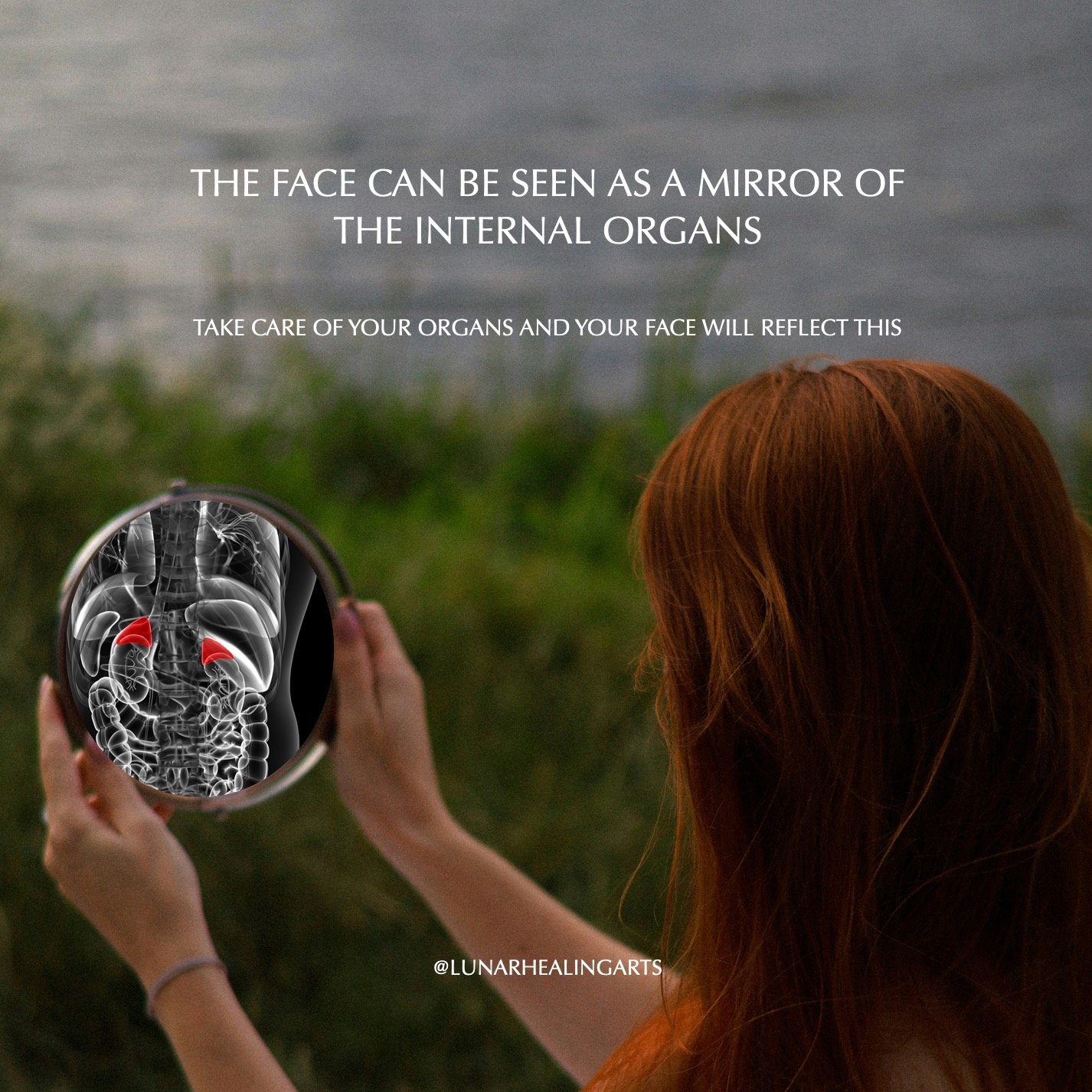 There is only so much that skin products or beauty treatments can do if the deeper systems of the body are out of balance, or needing more nourishment and restoration.

Face Reading shows us which systems of the body need support, and how to restore 