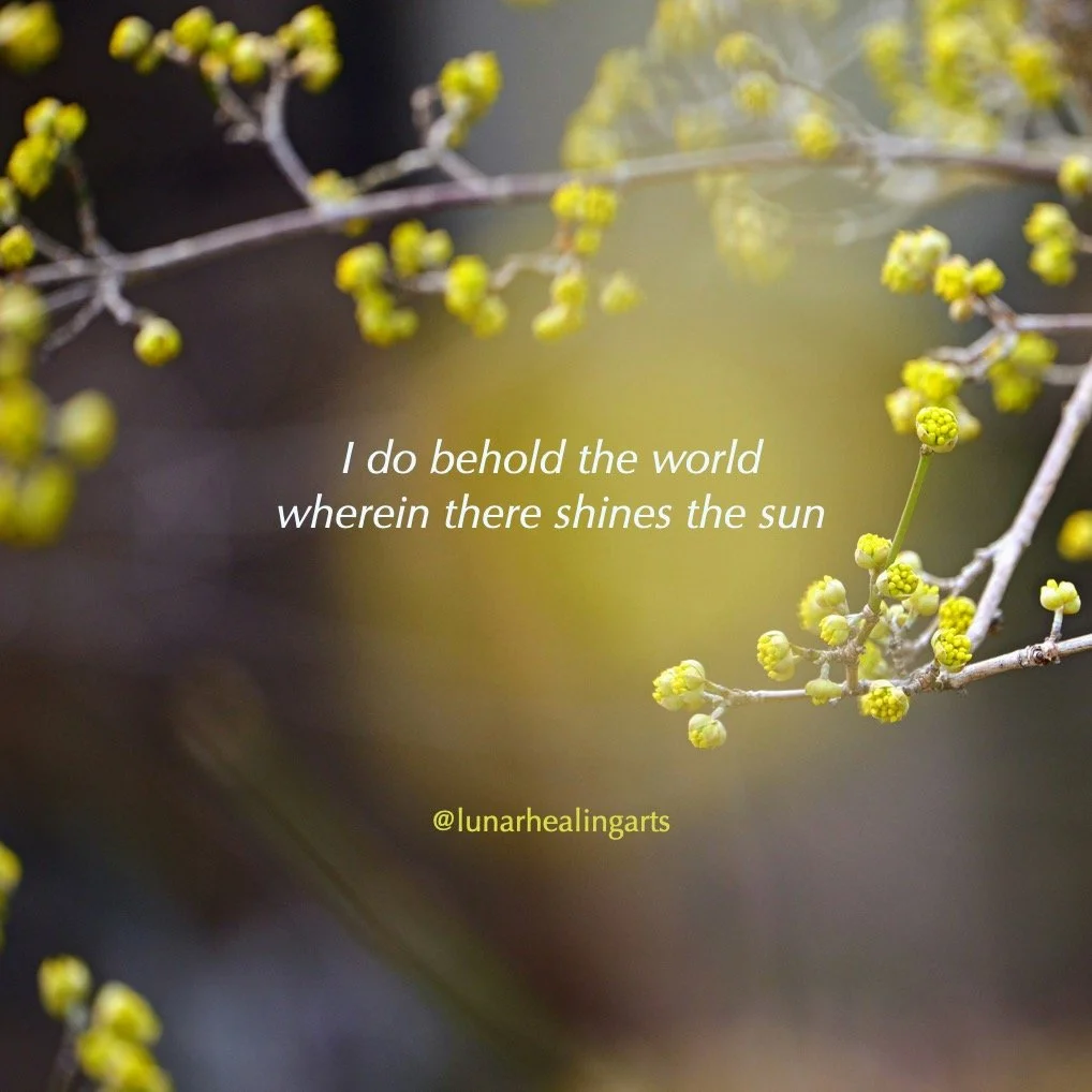 Nothing like walking in the bright sunshine to lift the spirits. The beautiful countryside of Stroud is bursting with life, and the beauty of it all brought to mind this verse by Rudolf Steiner.

"I do behold the world,
Wherein there shines the 