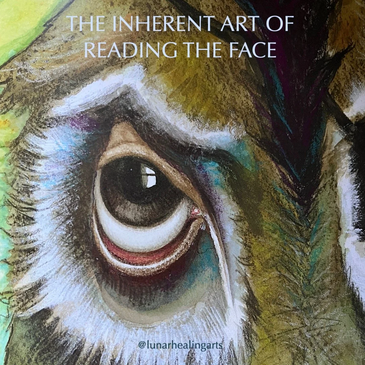 We are all born with the ability to read faces, and do so subconsciously from birth.

Recently, when reading stories to my son, I&rsquo;ve been particuarly struck by how often illustrators convey different states of being in ways that match facial di
