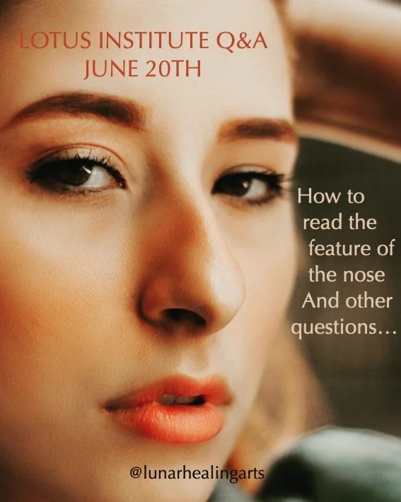 I so enjoyed joining with students of the Lotus Institute's Master Face Reading Program today, answering their questions and teaching different aspects of Face Reading.

The nose was one of the features that we explored in more depth. As with every f
