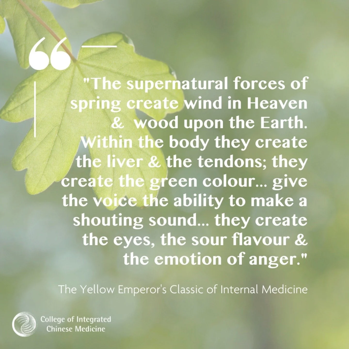 I love this quote about Spring posted by CICM. Such a beautiful example of the timeless wisdom of Chinese Medicine and Five Element theory, and "how our bodies and emotions are influenced by the forces of nature.⁠"

⁠I am looking forward to