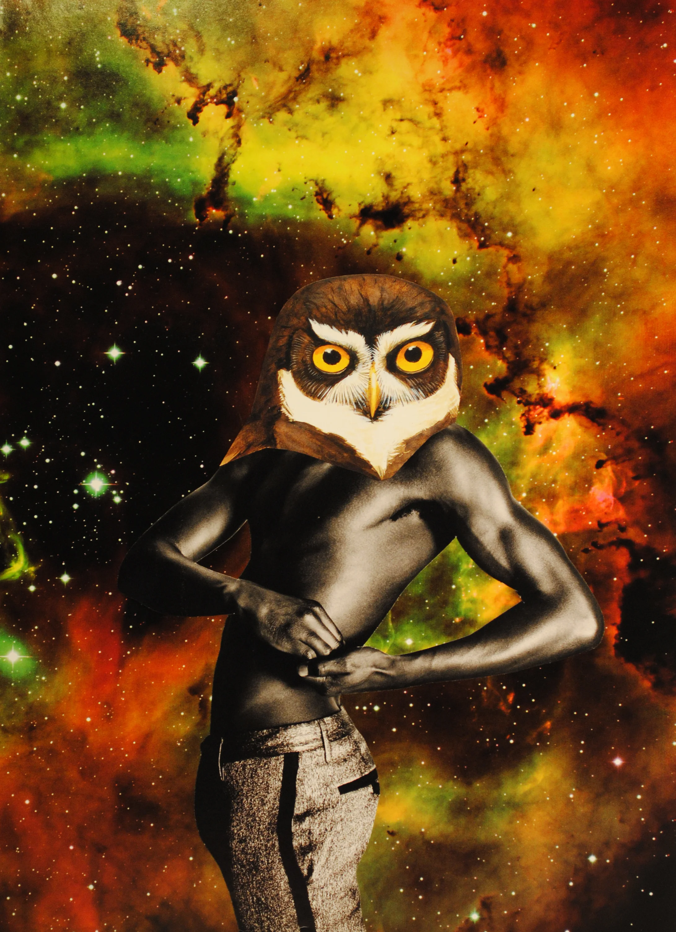 Avian, 2011