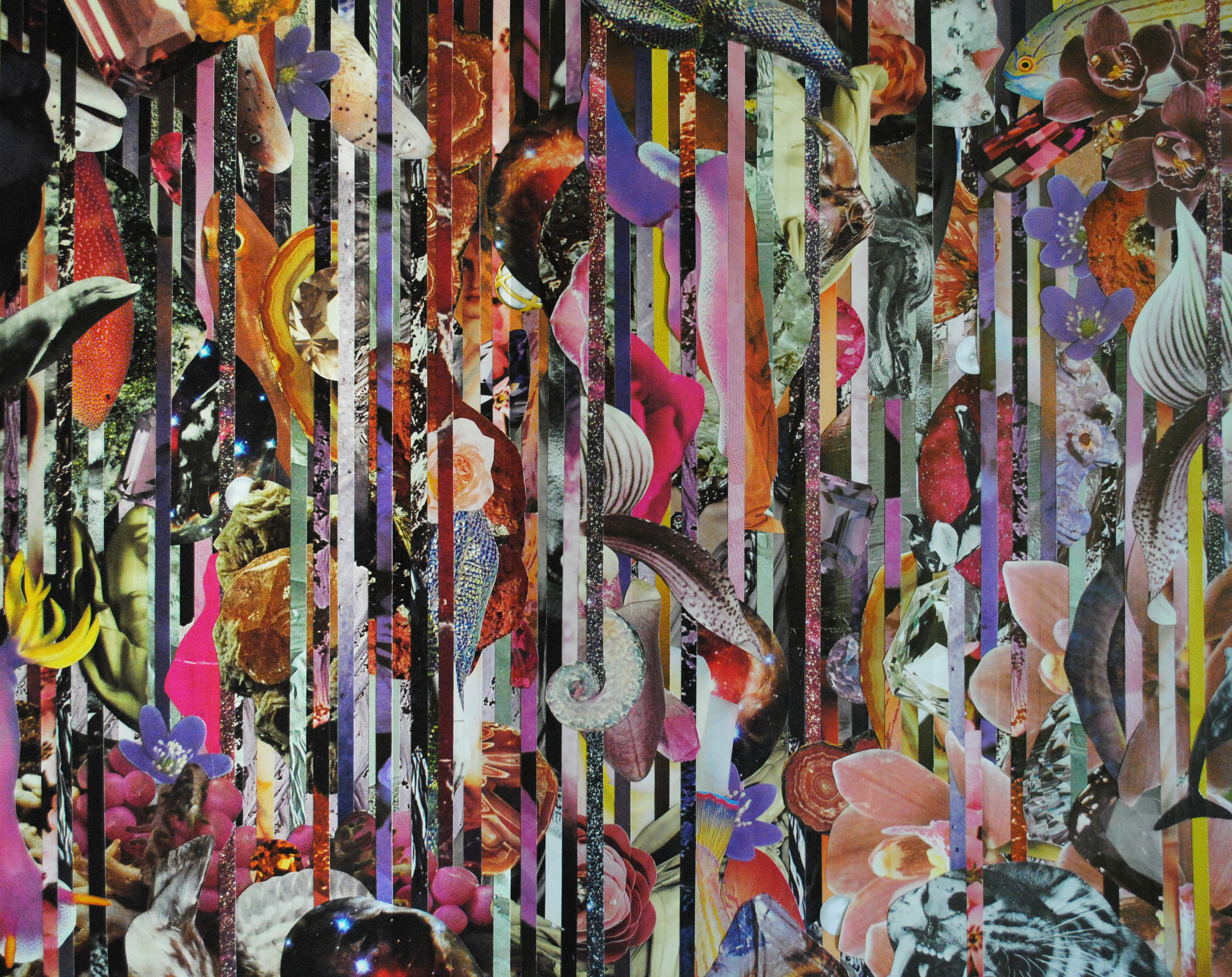 Heliotrope, 2017