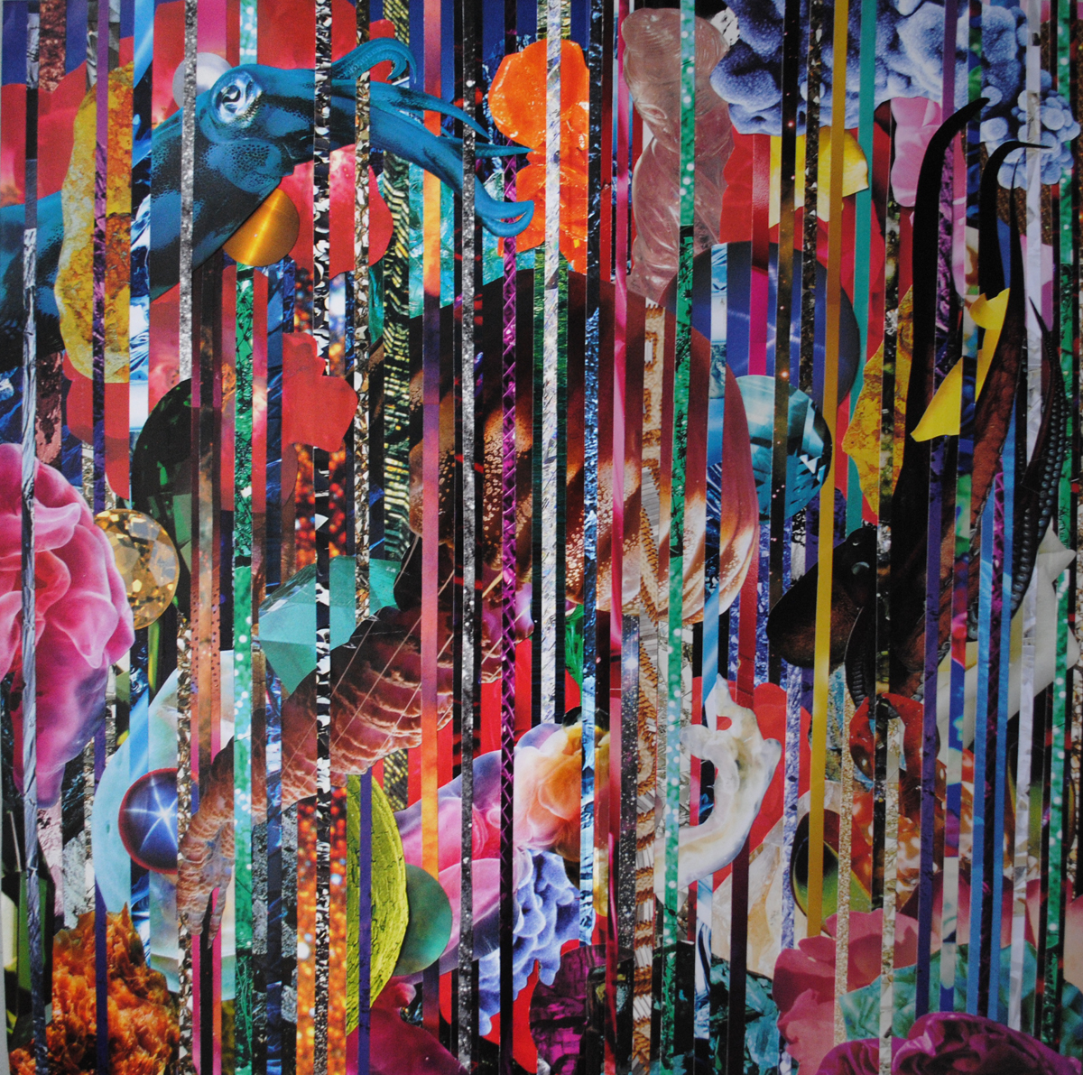 Teuthida, 2016