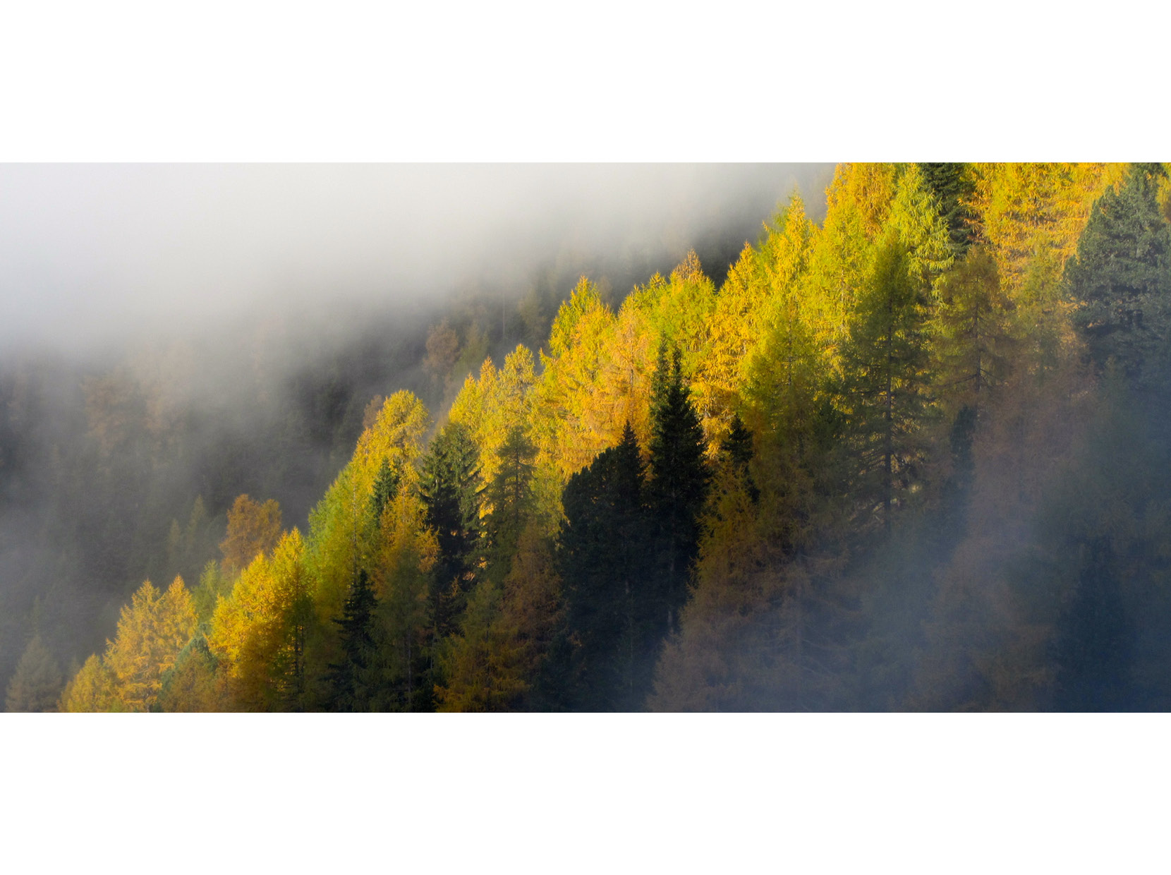 HerbstwaldWolken.jpg