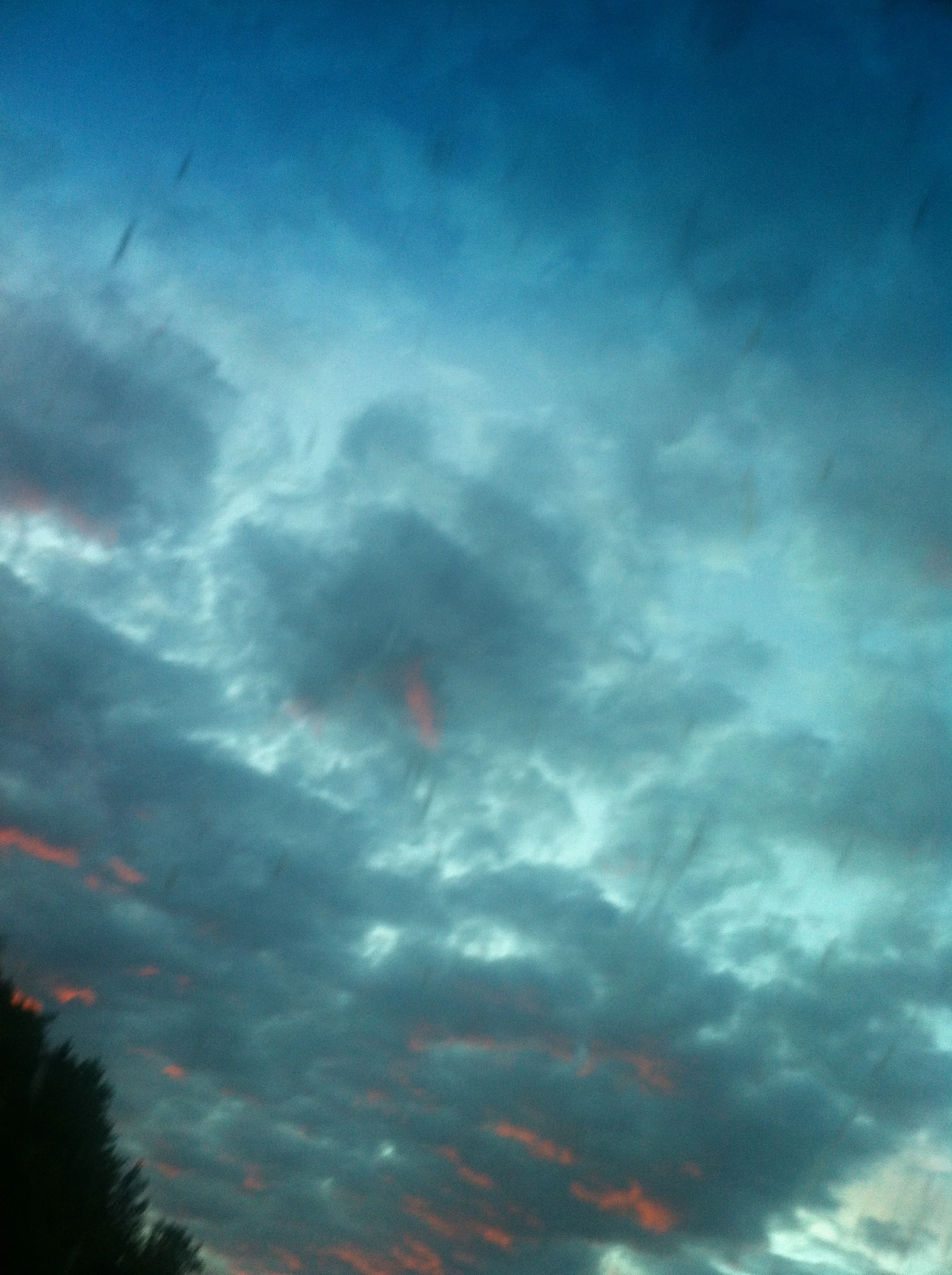 2012-06-27 20.41.37.jpg