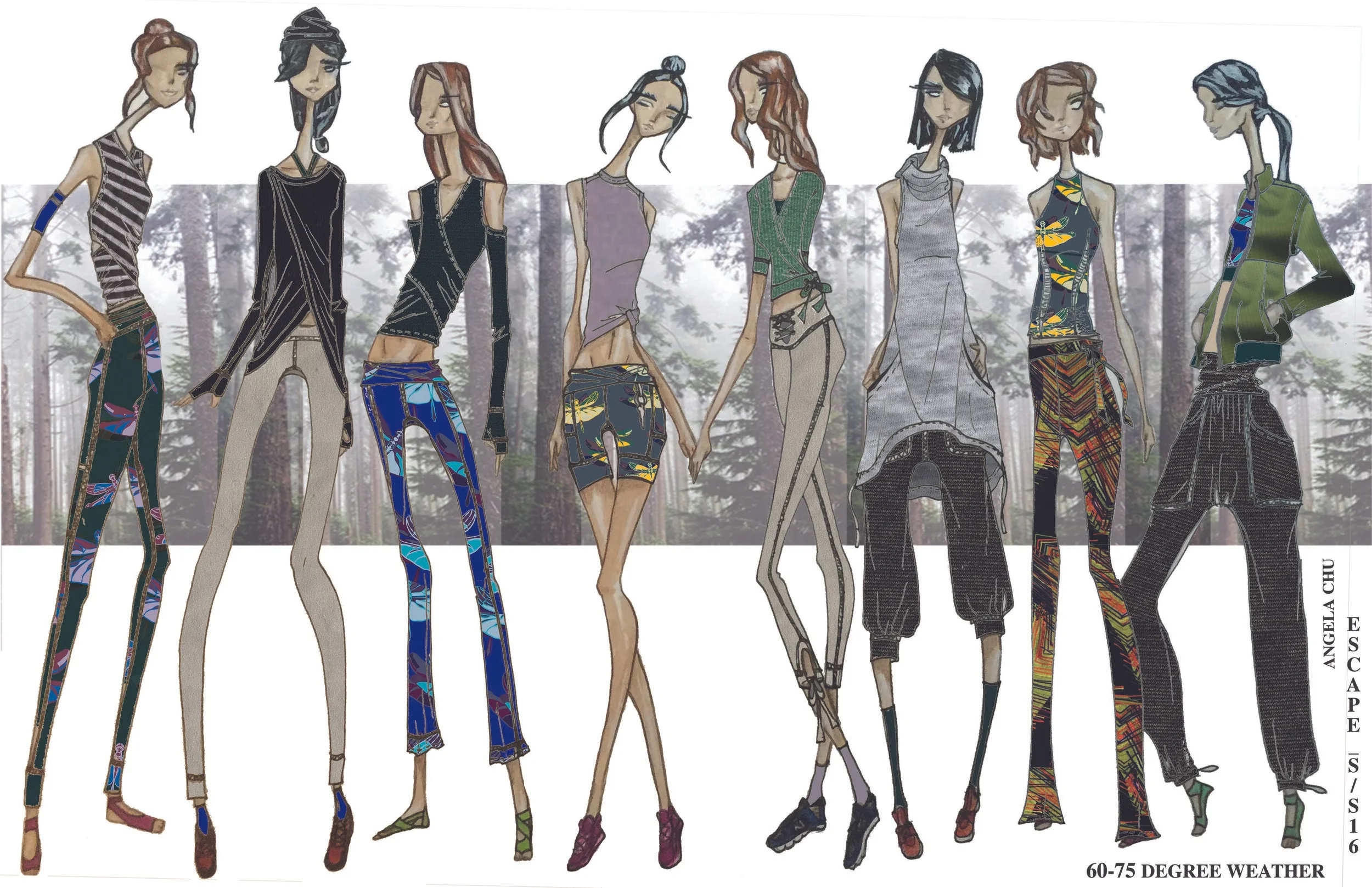 Collection with title.jpg