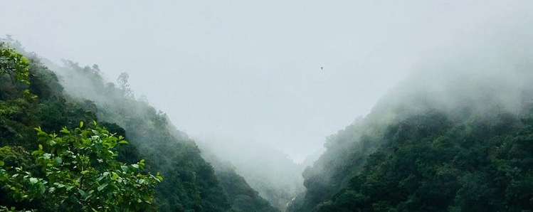 Photo credit: Pexels