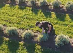 The Natural Vegan permaculture farm in the Okanogan Valley Photo Credit: Natural Vegan