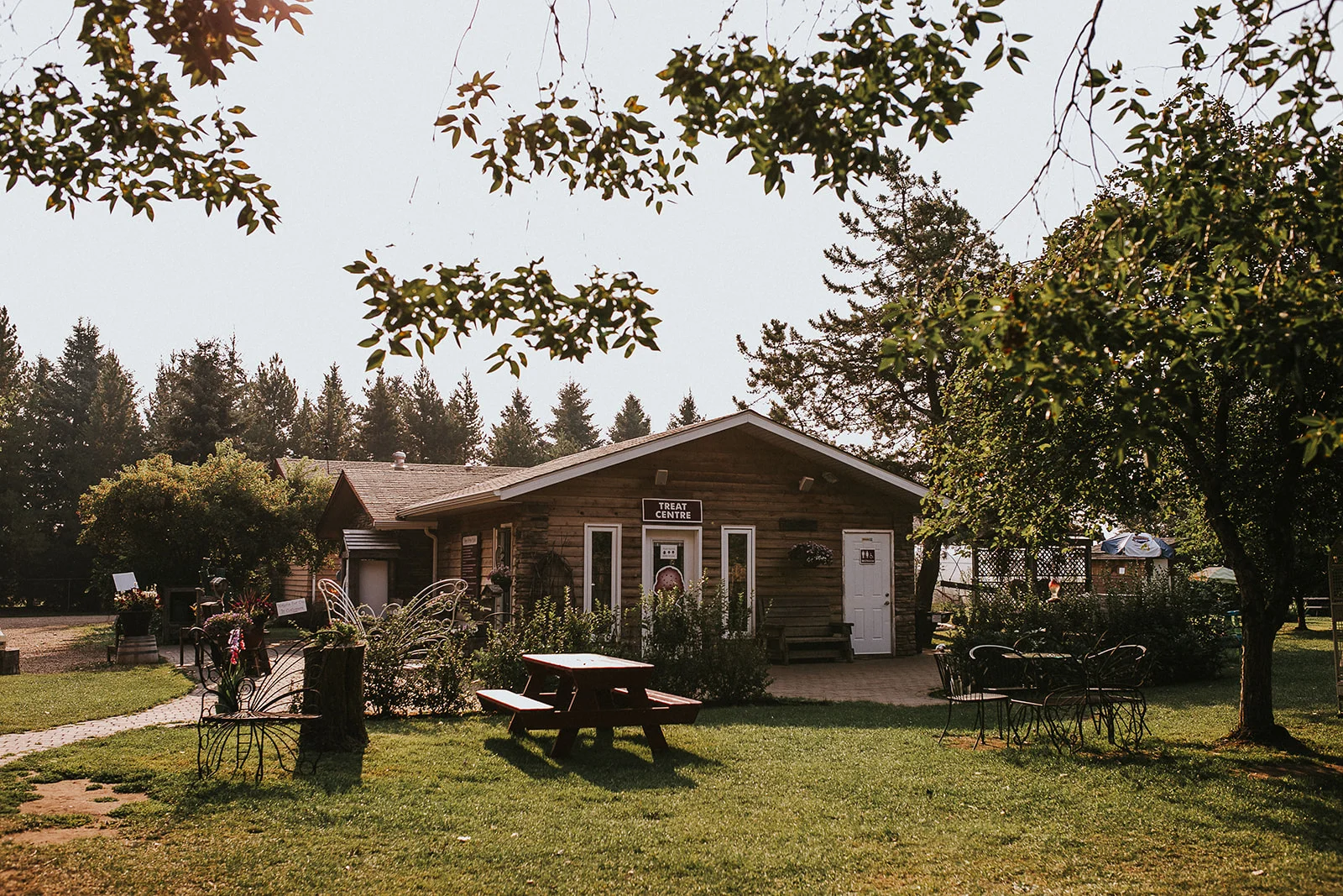Parkland County - Open Farm Days - Happy Acres U Pick - The Nomadic Wife (2).jpg