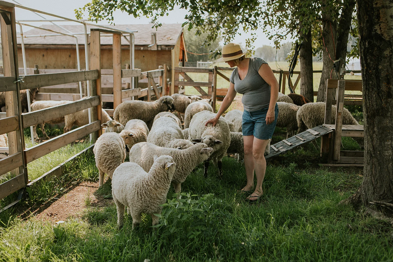Parkland County - Open Farm Days - Farmer Dell - The Nomadic Wife (20).jpg