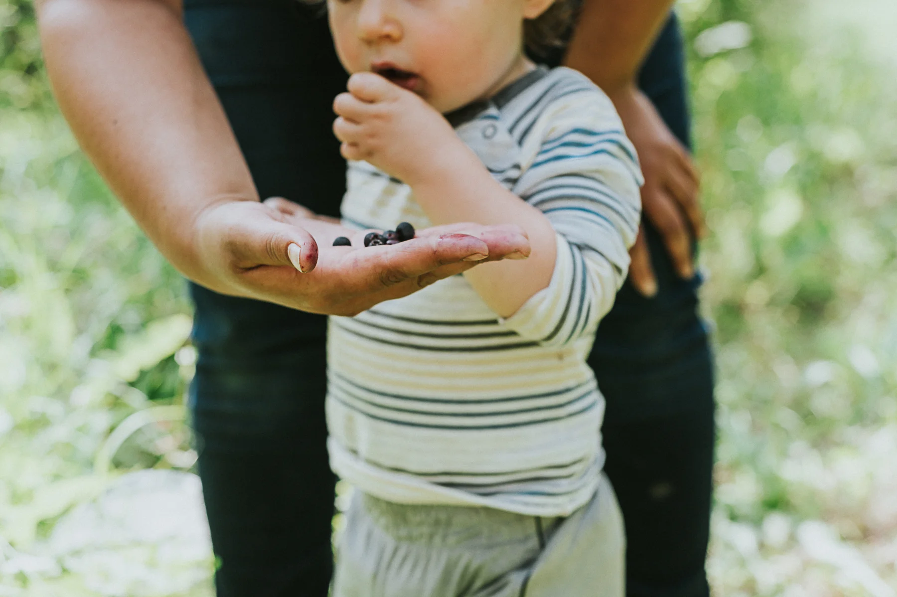 Saskatoon Picking-21.jpg