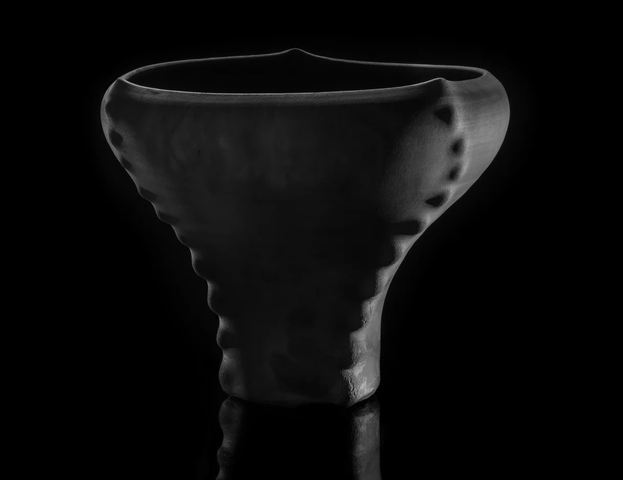 BACKBONE | naked raku, $400