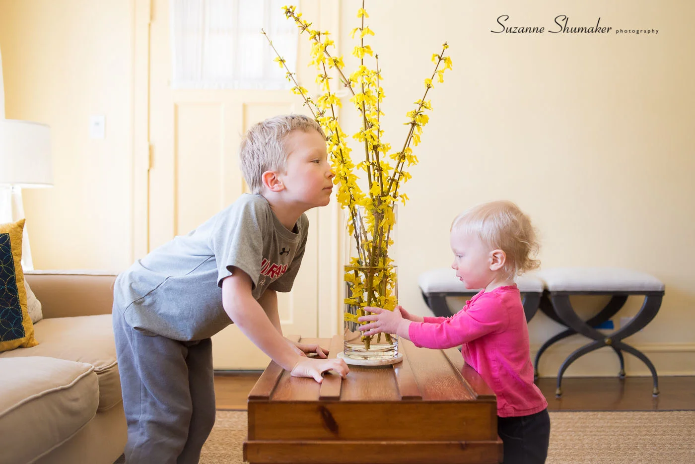 We brought in some Forsythia this cold snowy morning.