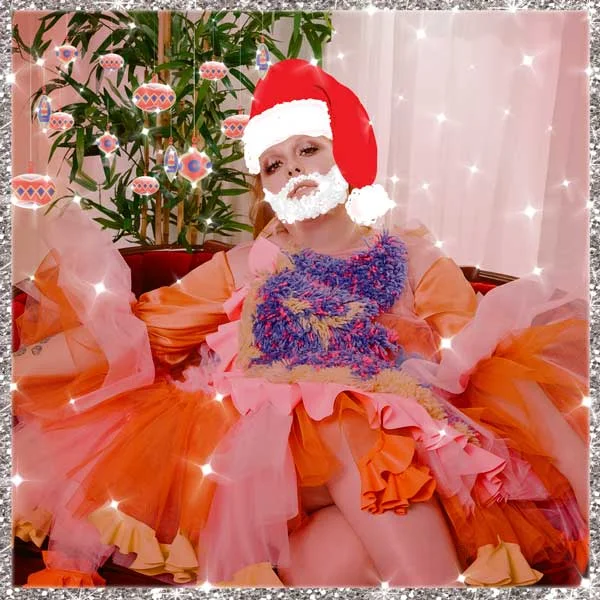 begoniachristmas.jpg