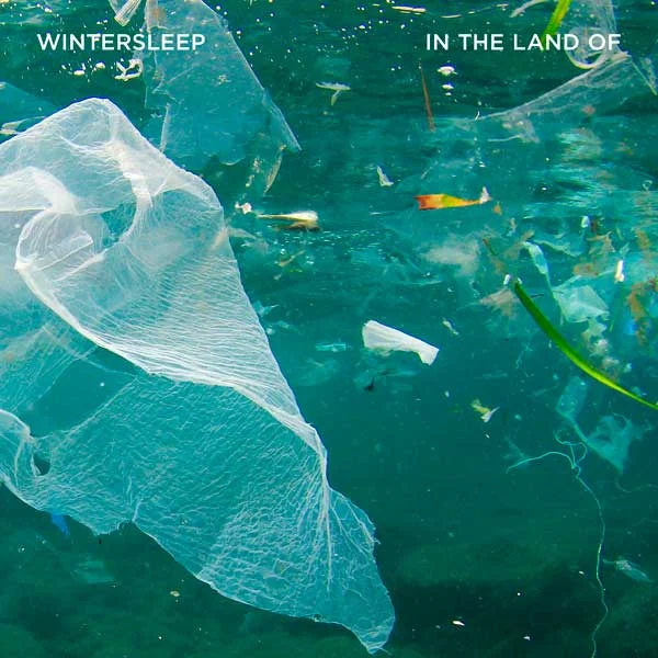WS_LP_ITLO_cover.jpg