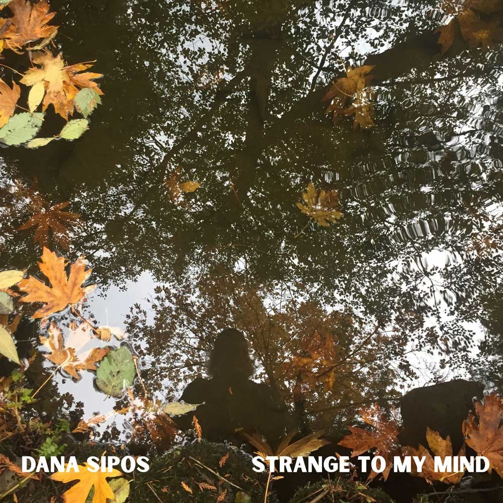 DS_S_STMM_cover.jpg