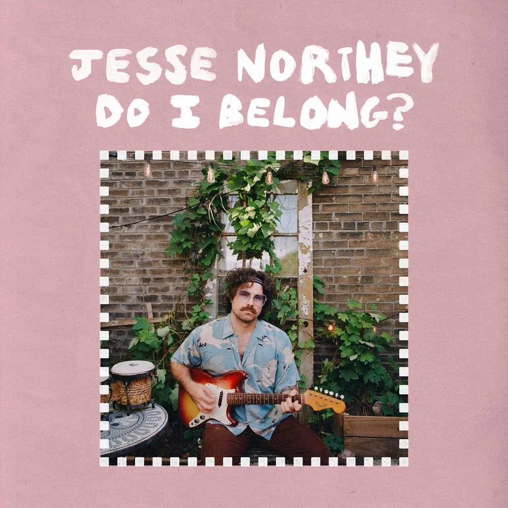 JN_S_DIB_cover.jpg