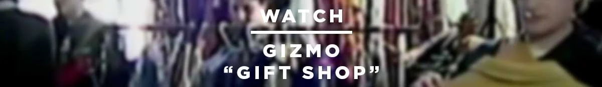 GIZ_GS_V.jpg