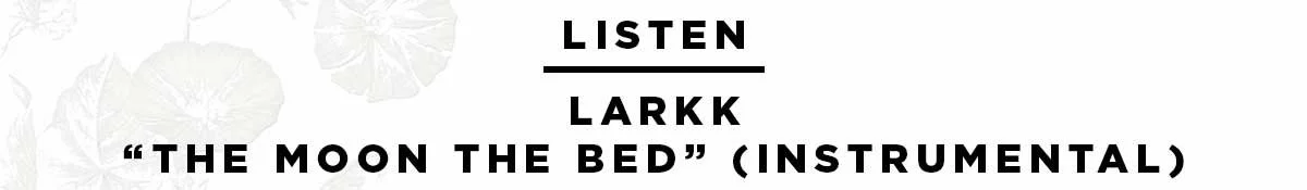LRK_TMTD_A.jpg