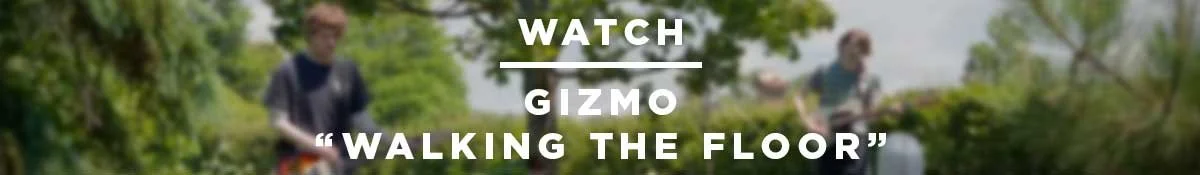 GIZ_WTF_V.jpg