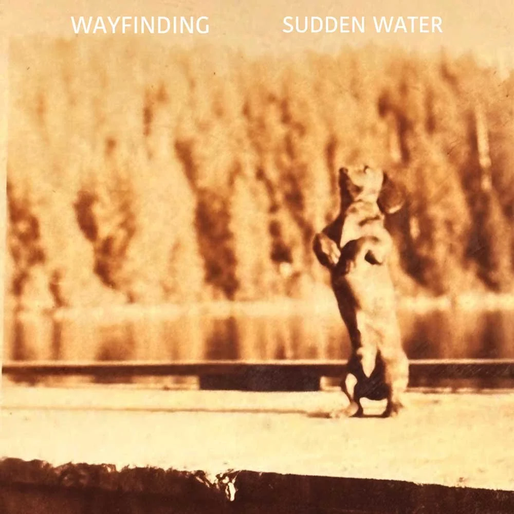 WAY_S_SW_cover.jpg
