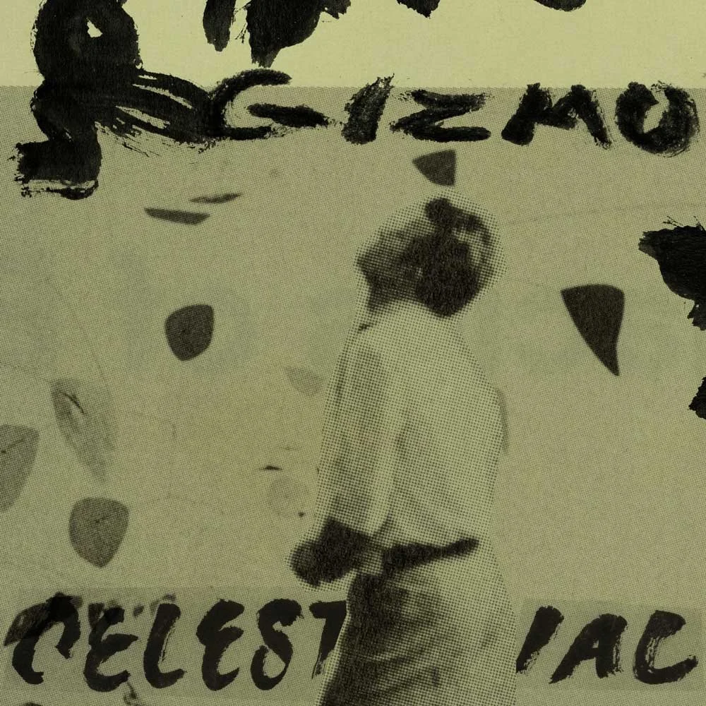 GIZ_S_C_cover.jpg
