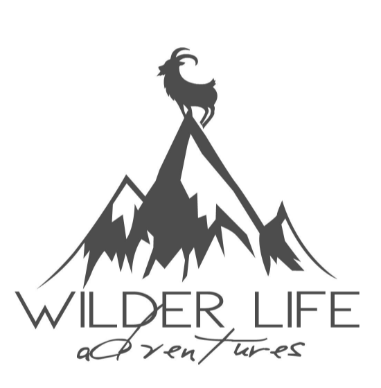 Screen Shot 2021-12-28 at 9.15.04 PM.png