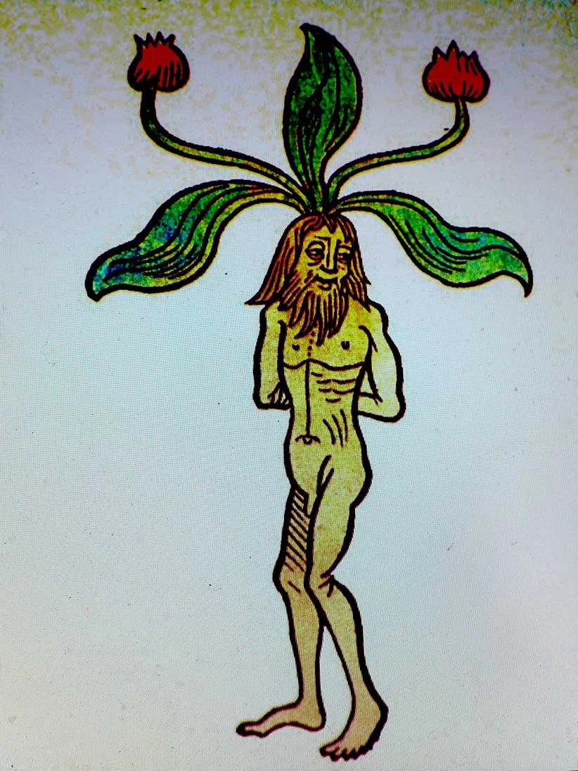 lecture_ss2015_100.jpg