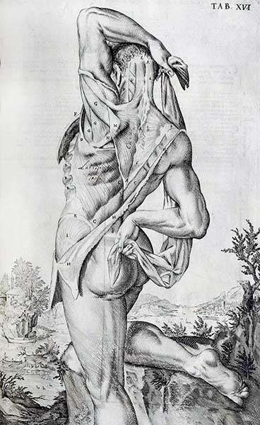 Odoardo Fialetti, per disegnare tutte le parti 03
