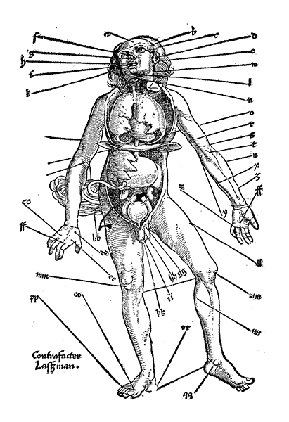 1528 Hans von Gersdorff, Feldtbuch der Wundartzney, newlich getruckt und gebessert