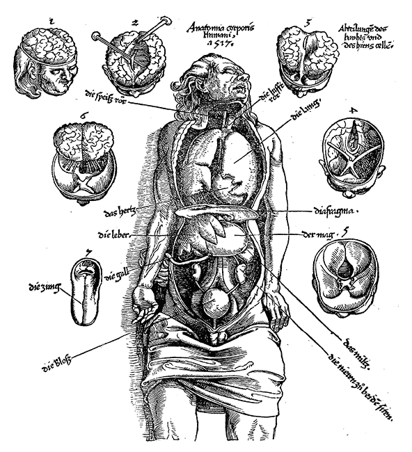 1528 Hans von Gersdorff, Feldtbuch der Wundartzney