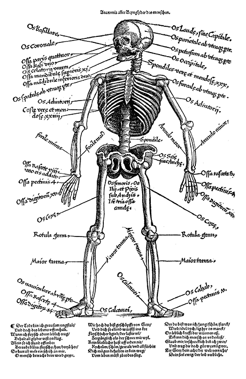 1528 Hans von Gersdorff, Feldtbuch der Wundartzney