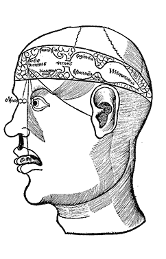 1512, Hieronymus Brunschwig, Liber de arte distillandi de compositis