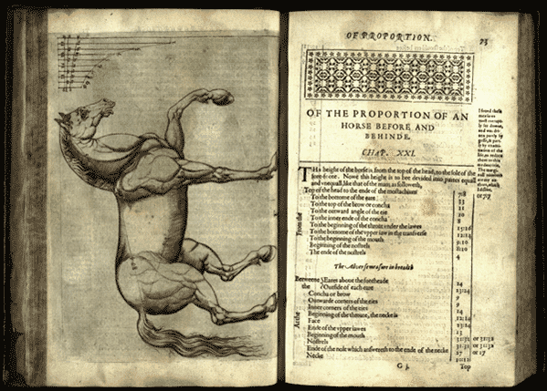 Trattao dell’arte della Pittura IX