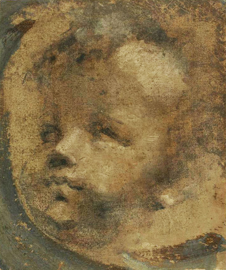 Domenico Beccafumi, Head of a Putto