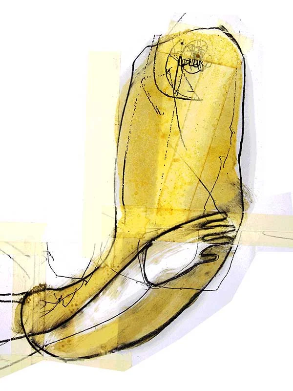 Magen / stomach