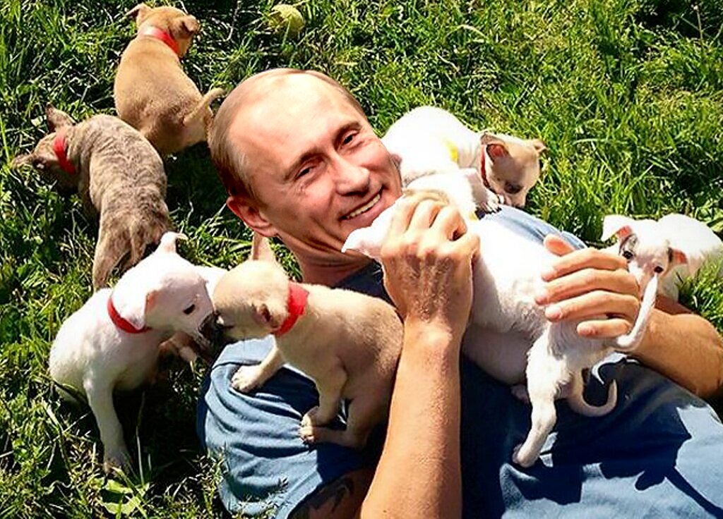 Putin.jpg