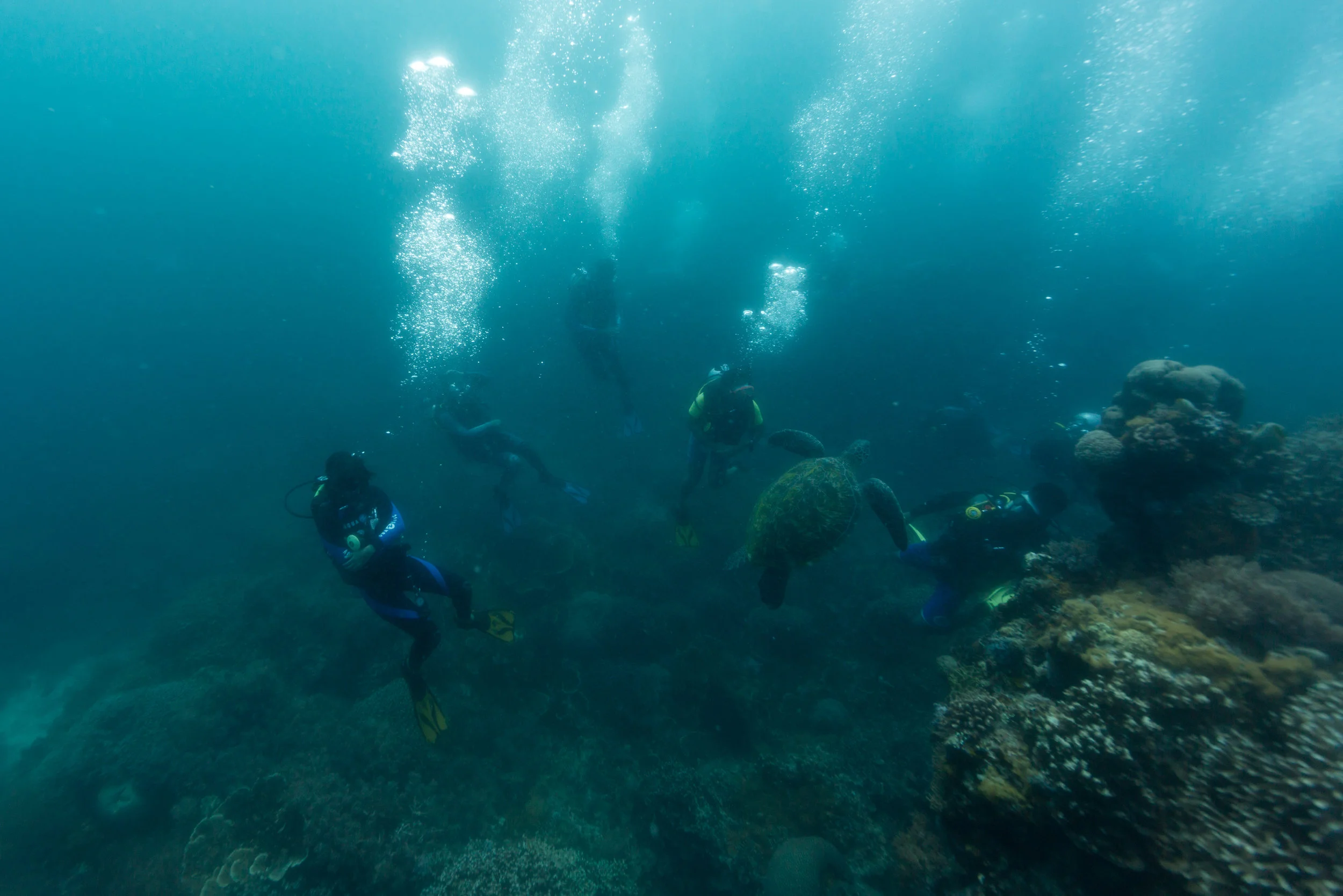 Jerome and his dive classmates on their last dive at Katipanan Reef before their graduation, April 2017