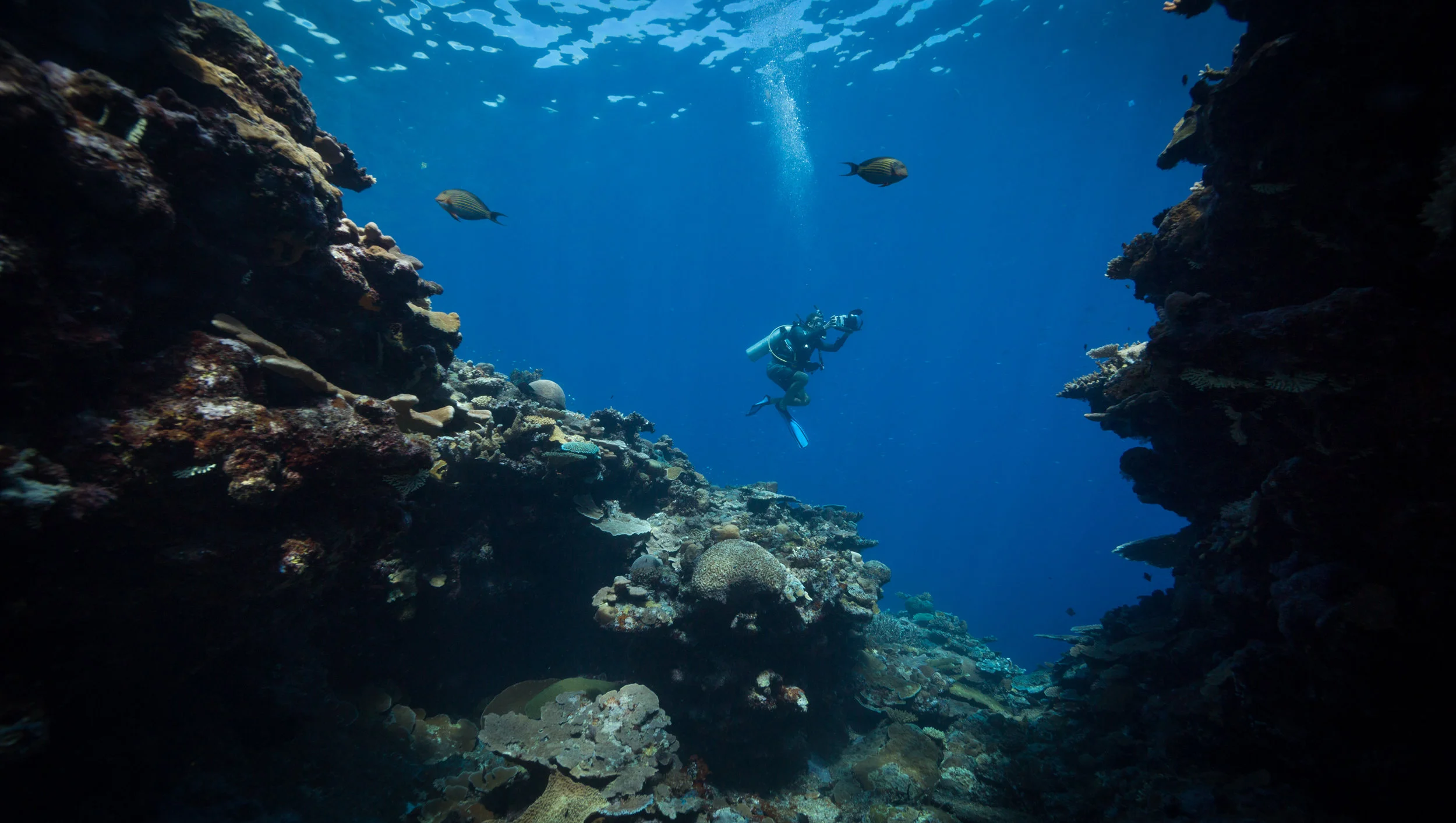 James diving at Mbigo Mbigo Reef with his underwater housing, before it flooded.