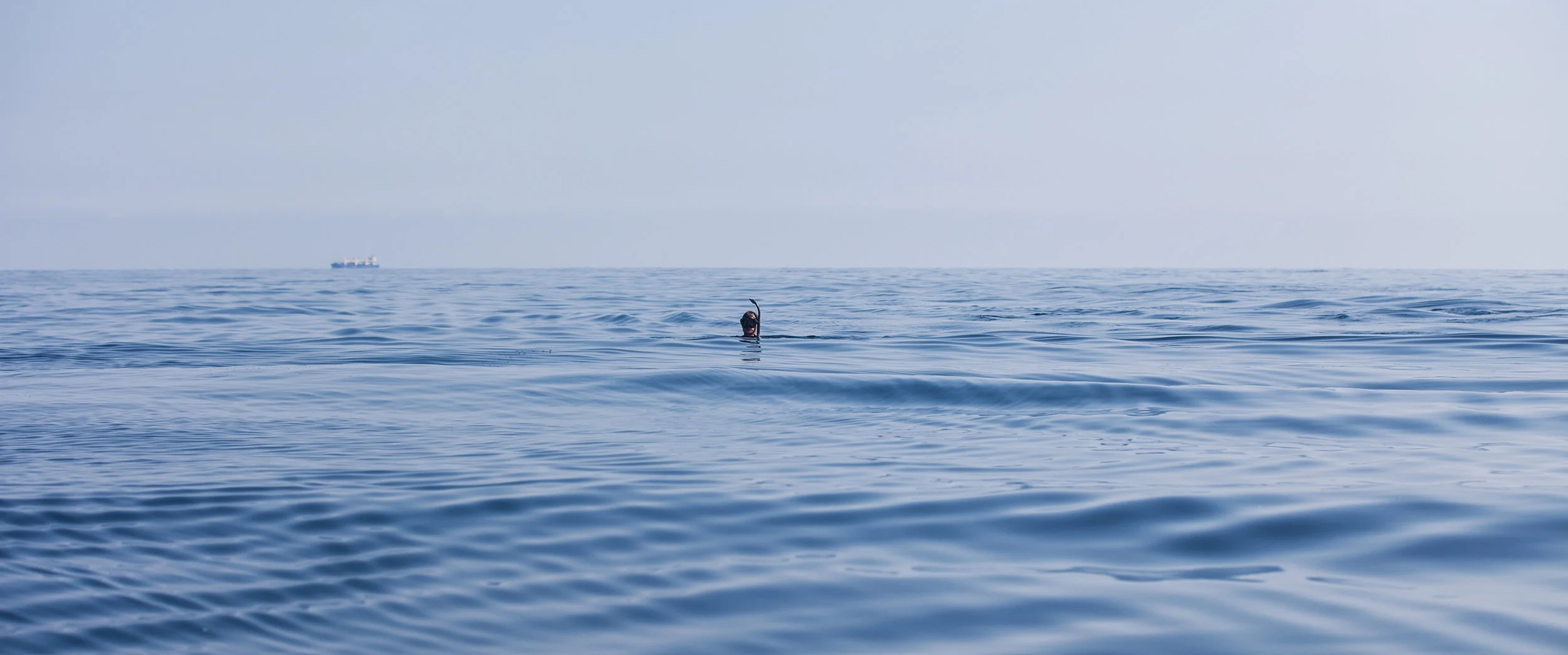 Co-Director James Sherwood swimming out on the high seas in the Pelagos Sanctuary. If you look closely, you can see a cargo ship in the distance.