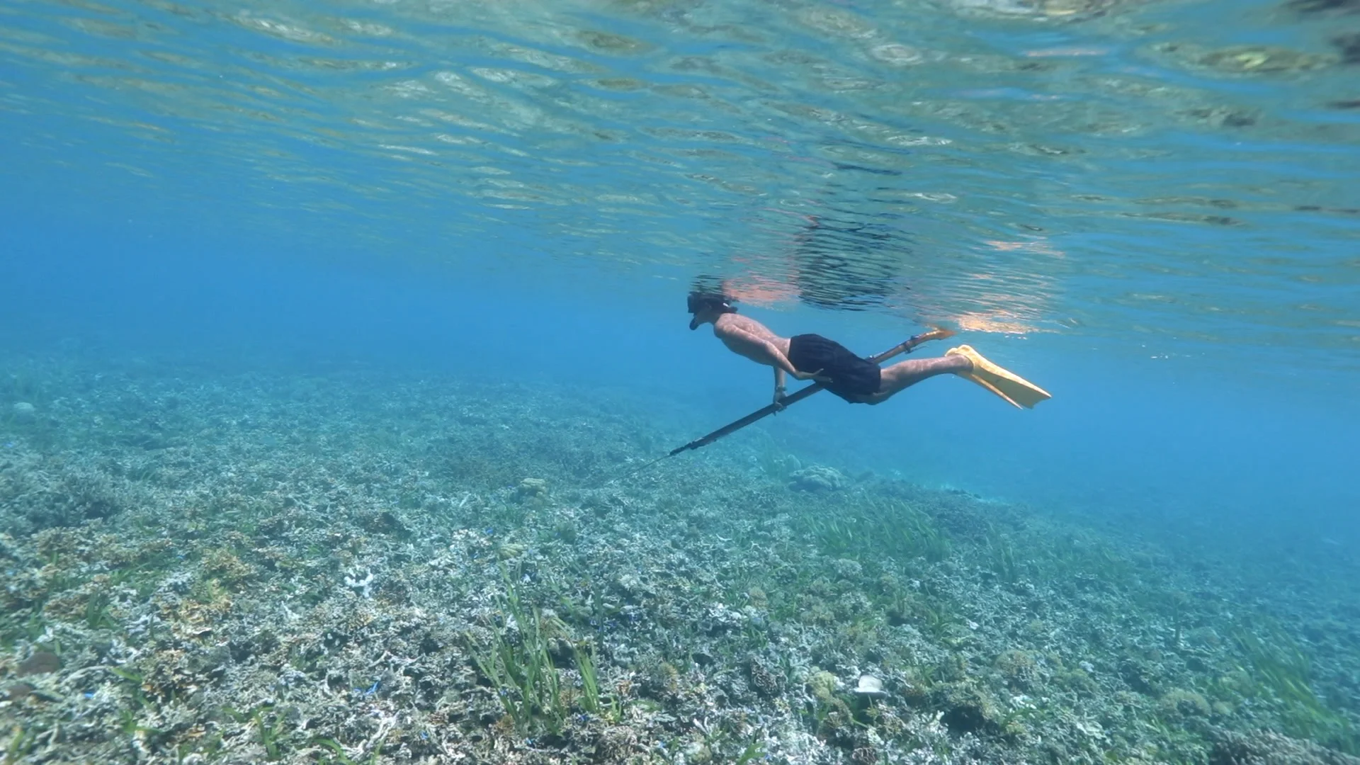 Palau has banned commercial fishing in its waters due to the nation's concern over dwindling fish stocks. Locals are still permitted to fish in some areas for subsistence activities.