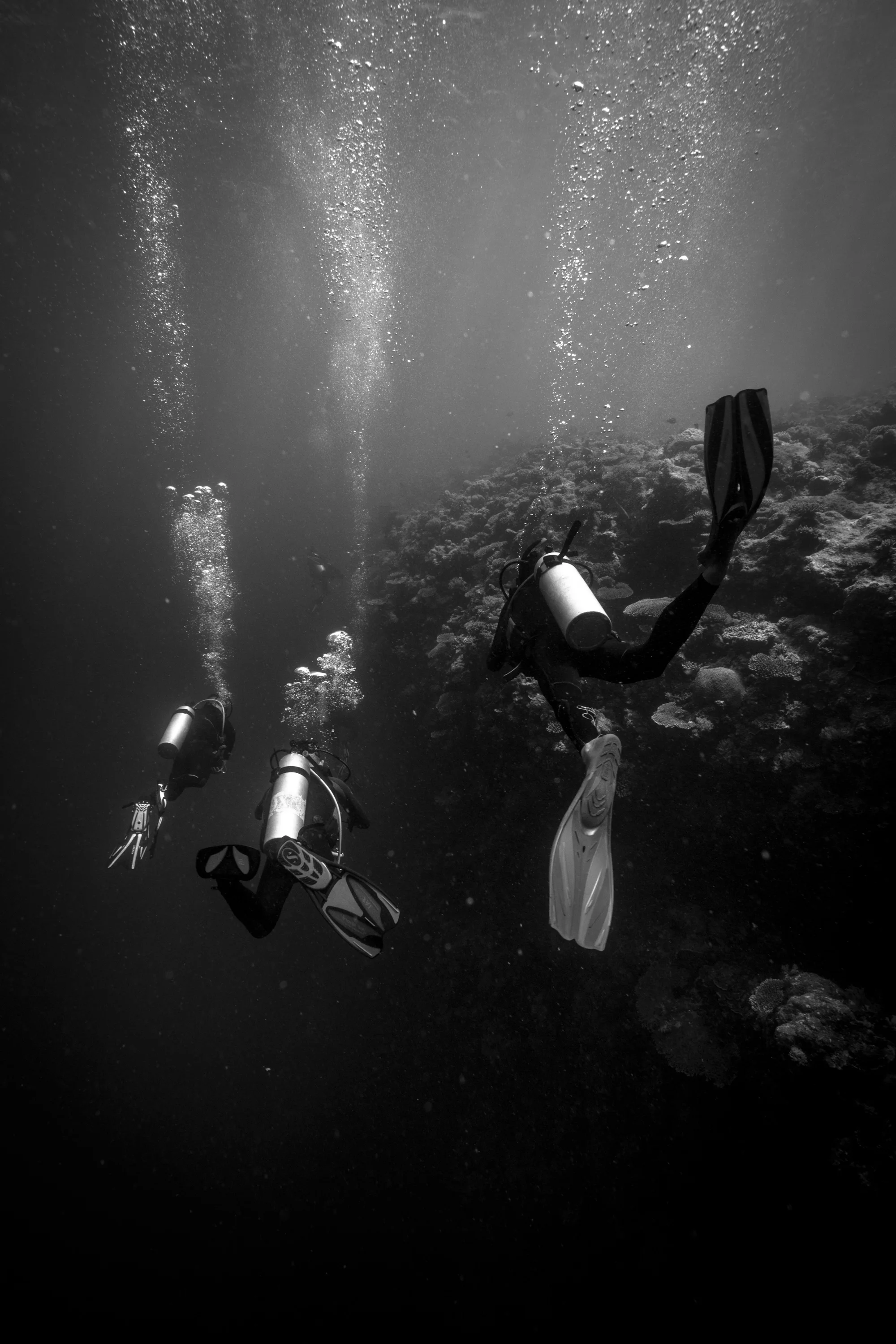 Palau is known for its wall and channel dive sites.