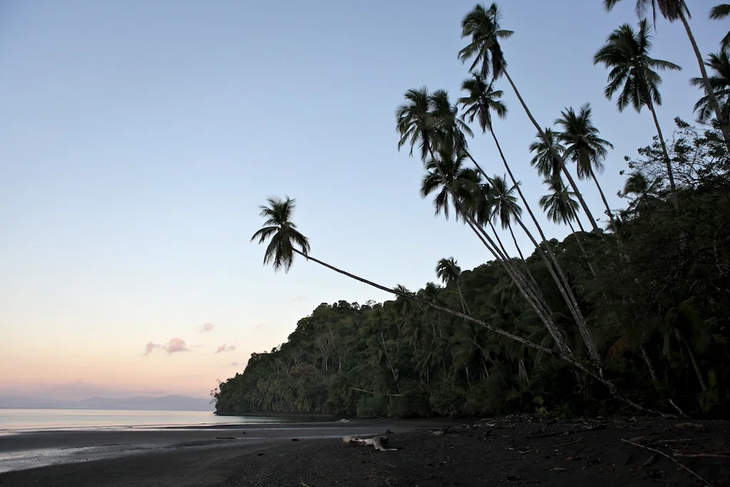 Corcovado National Park at dusk.