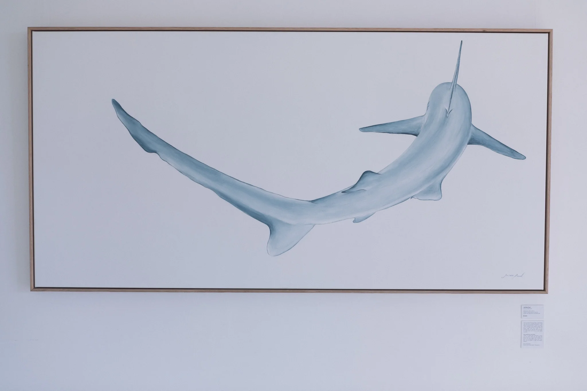 1A5A9341_LR.jpg