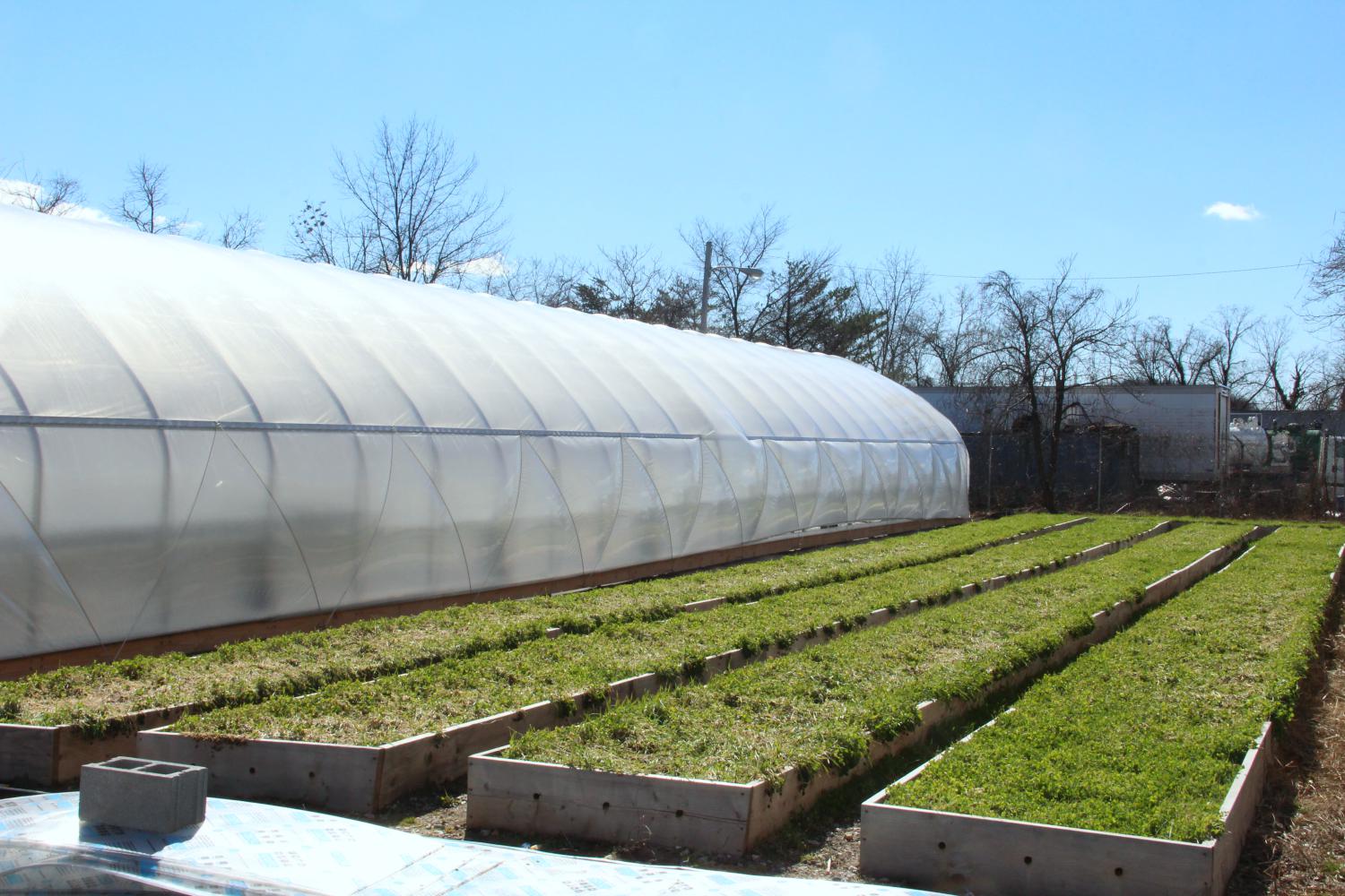 The Big Kitchen Garden 