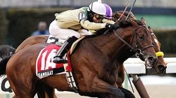 SAMRAAT gets EquiPulse Therapy right at the 2014 KY DERBY!